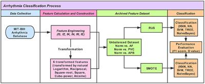Impact of Data Transformation: An ECG Heartbeat Classification Approach